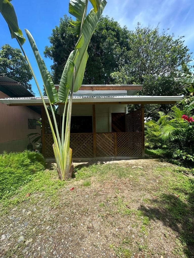 Ballena Oasis Homes Uvita Exterior photo